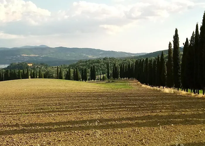 Il Marrondindo Galliano